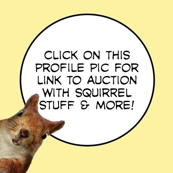 Meet your Posher, Michele - Picture 1 of 1